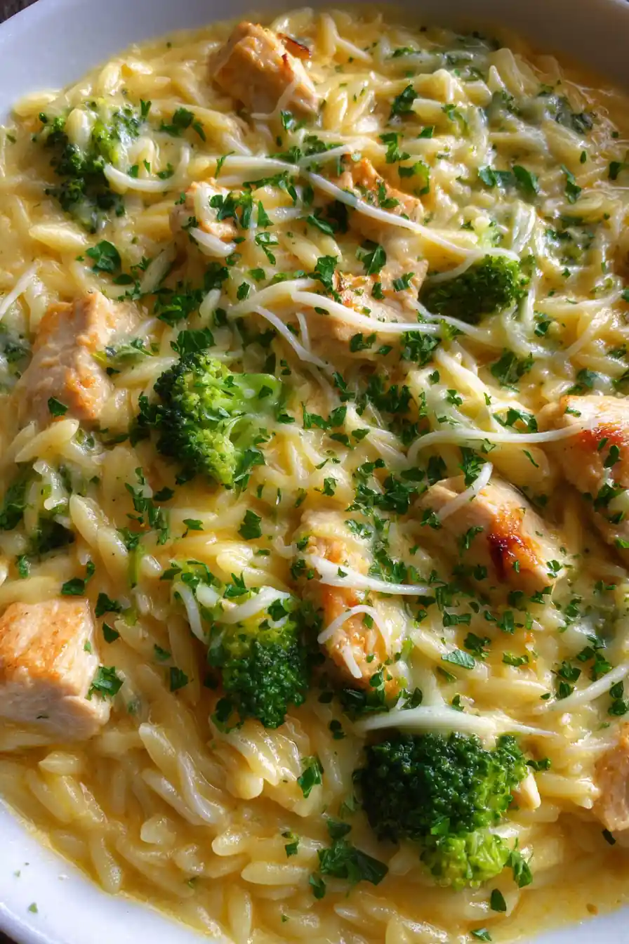 Easy Cheesy Chicken Broccoli Orzo 7 Easy Cheesy Chicken Broccoli Orzo