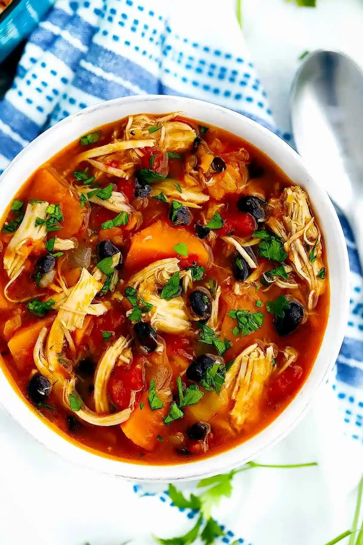 Chicken Stew with Sweet Potatoes and Black Beans