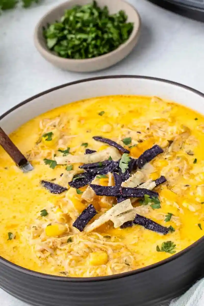 Slow Cooker Creamy Chicken Tortilla Soup 3 Slow Cooker Creamy Chicken Tortilla Soup